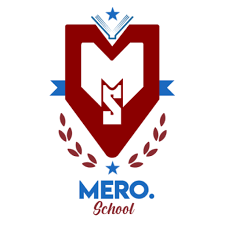 Home %corporate custom e-learning training agency% Mero School