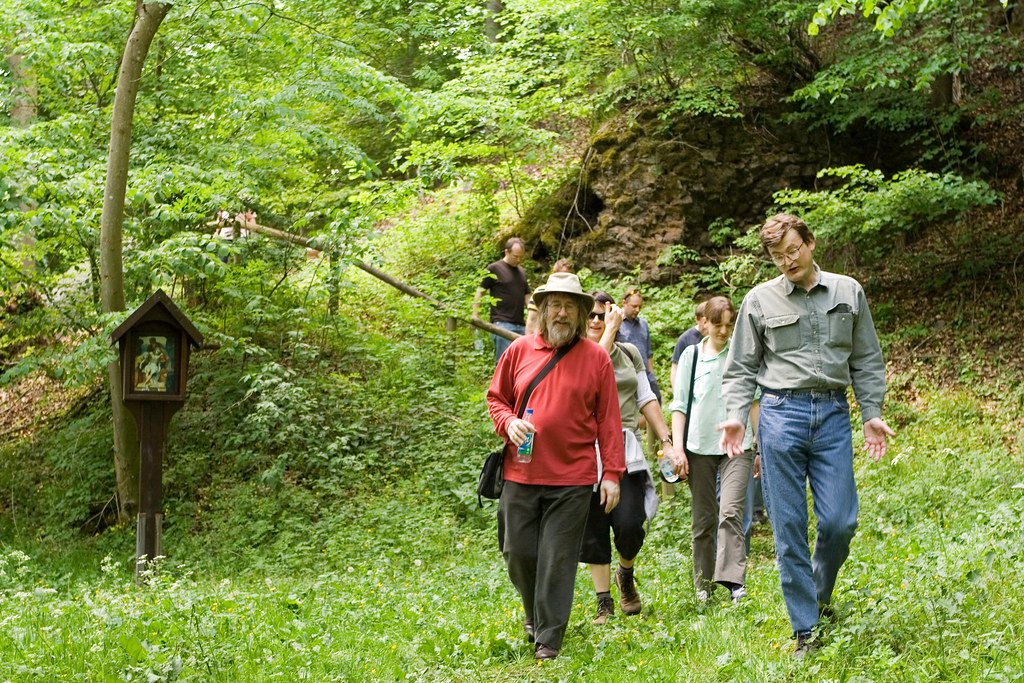 Group wellness activity